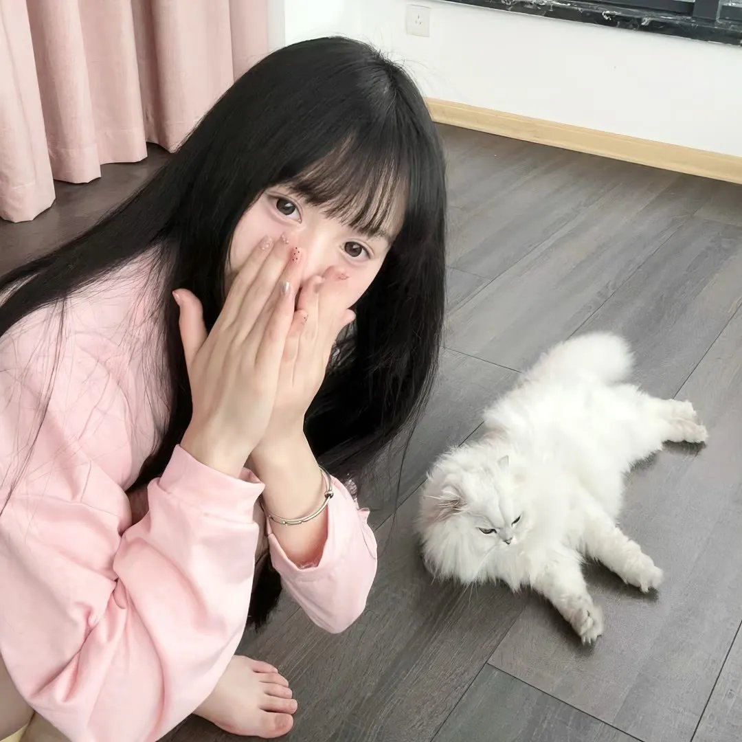 了不起的女侠